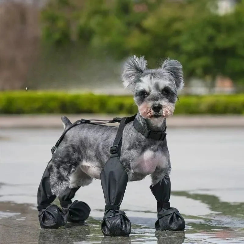Waterproof Dog Boots — Silicone Paw Protection | Black & Yellow | Sizes M–XL