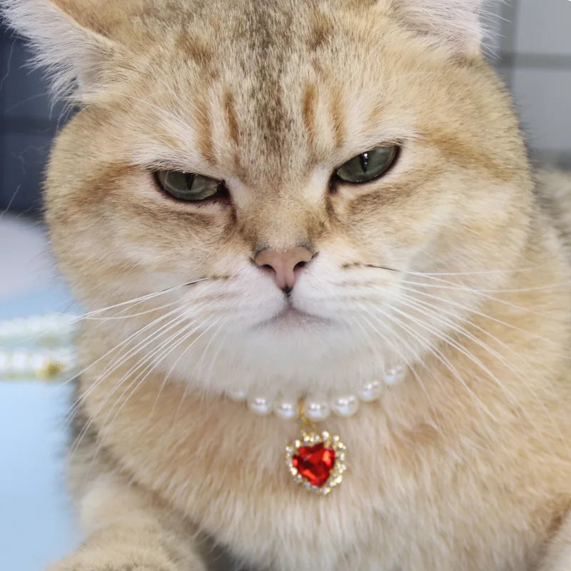 Pearl Crystal Cat Collar Necklace
