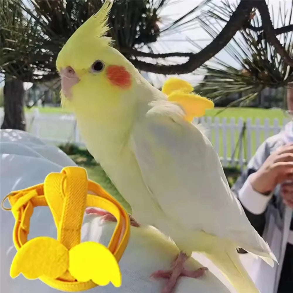 Adjustable Parrot Harness & Leash Set