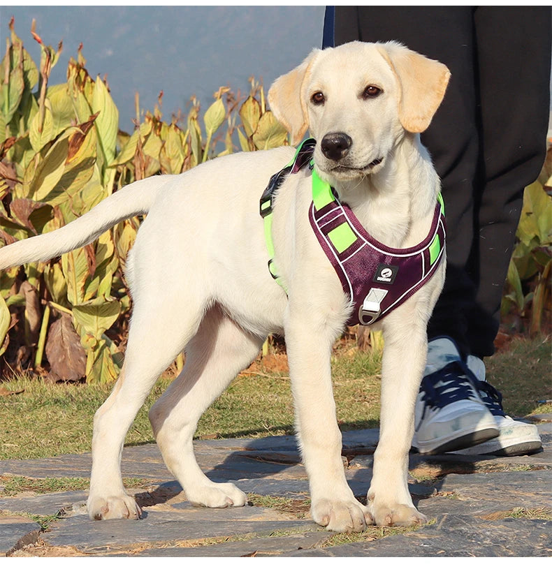 Reflective Army Dog Harness