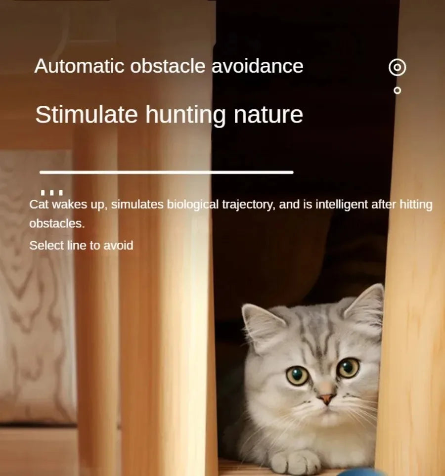 Automatic Rolling Smart Cat Ball