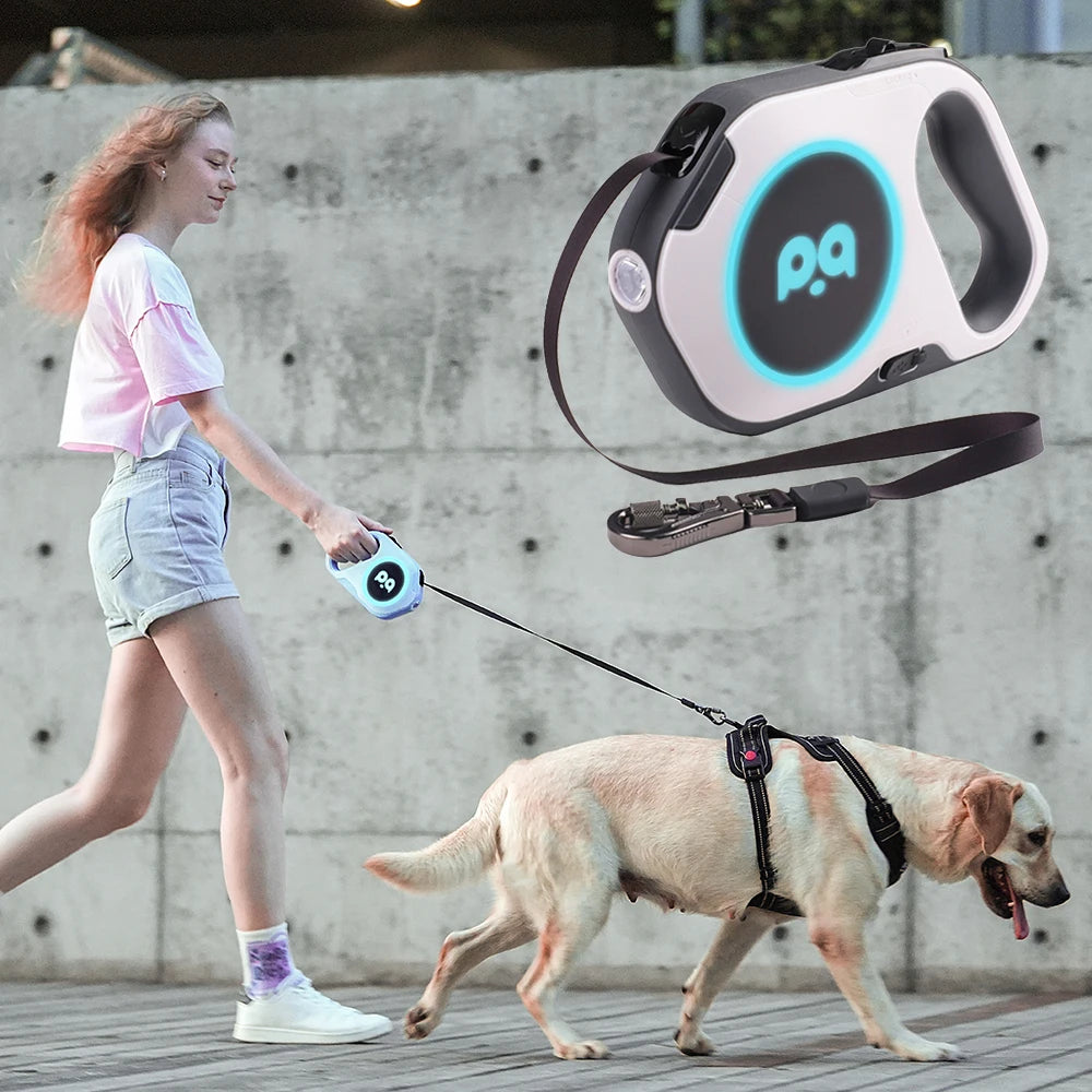 Retractable Dog Leash 5M — LED & Quick Release