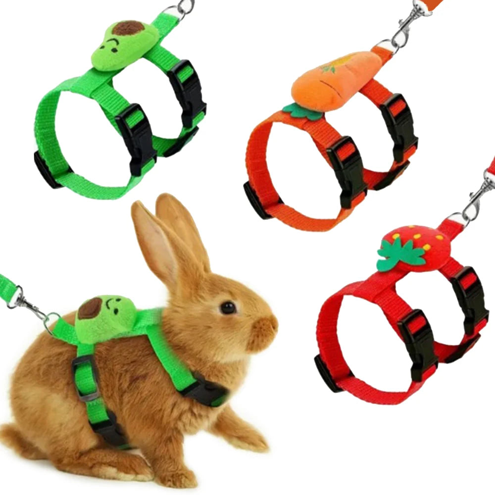 Adjustable Harness & Leash Set for Small Animals