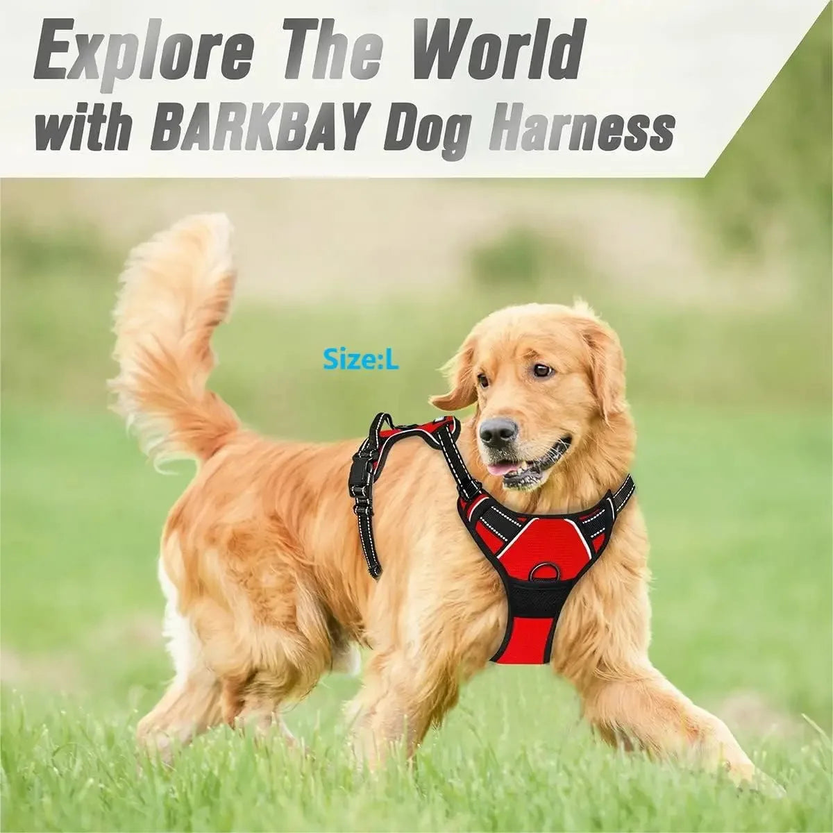 Dog Harness Collar & Leash Set