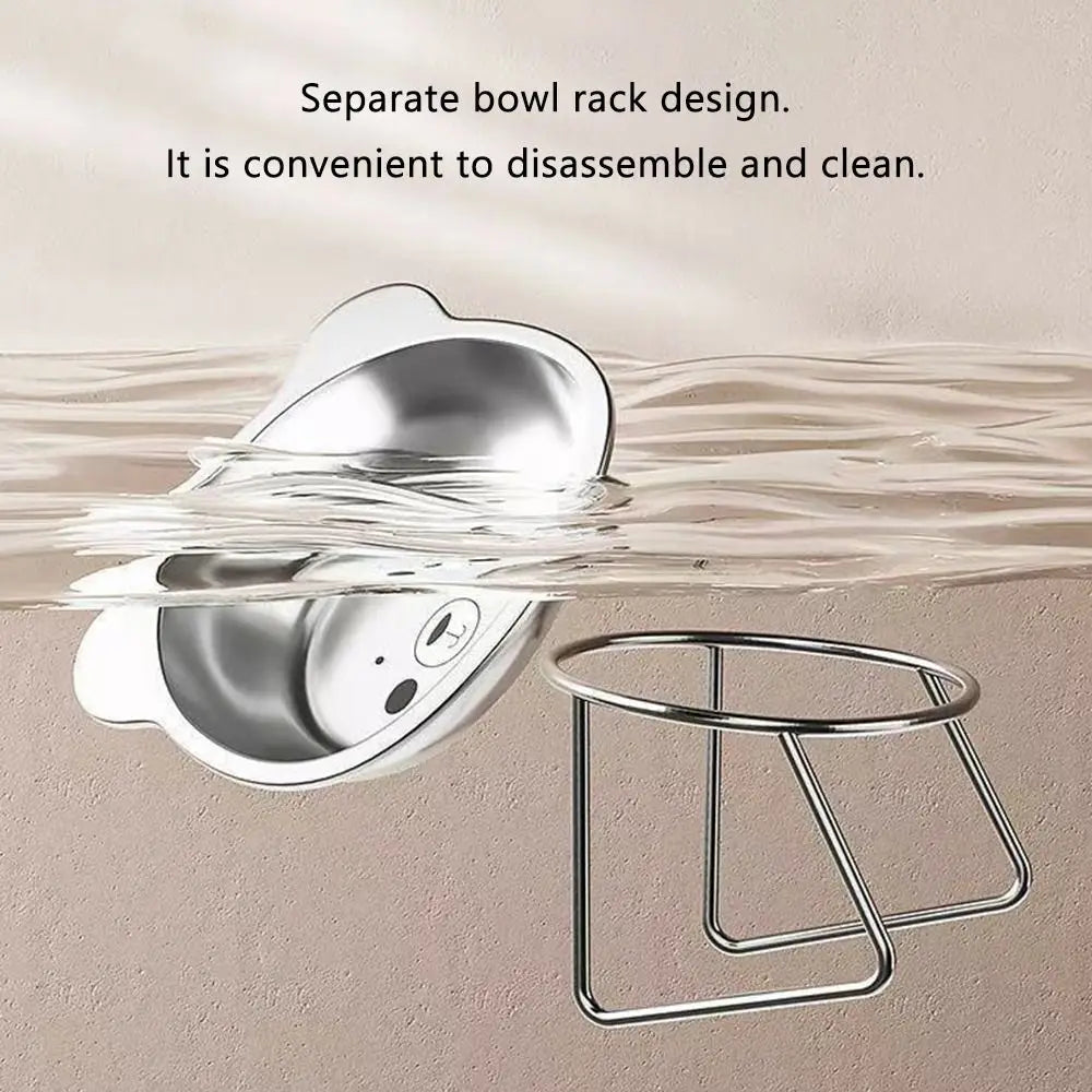 Tilted Raised Cat Food Bowl