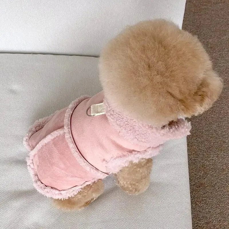 Small Dog Sweatshirt Dress – Cute Pet Apparel for Chihuahuas & Small Breeds