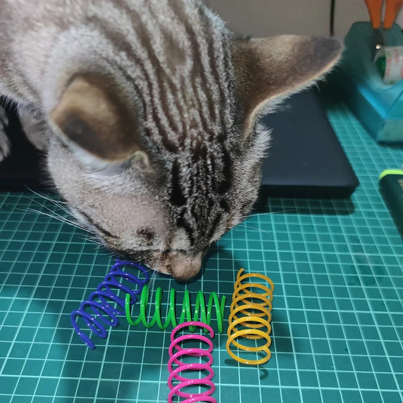 Cat Spring Toy