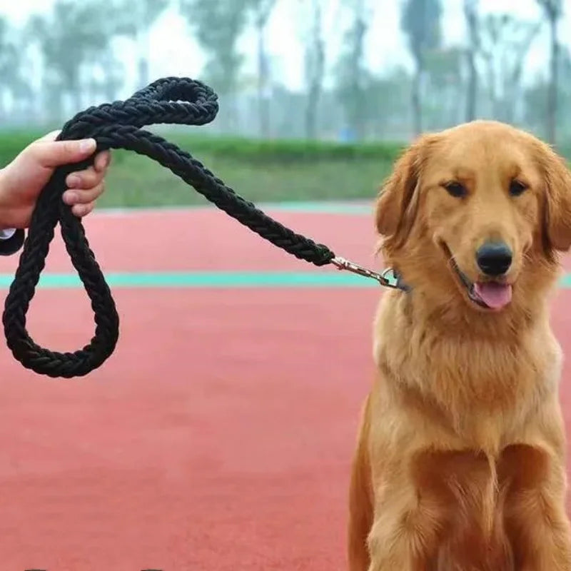 Heavy-Duty Braided Nylon Dog Leash