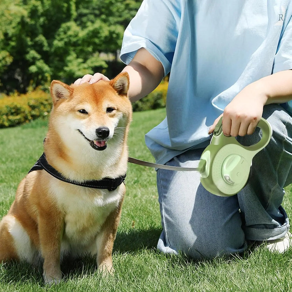 Retractable Dog Leash with LED Lights — 360° Swivel
