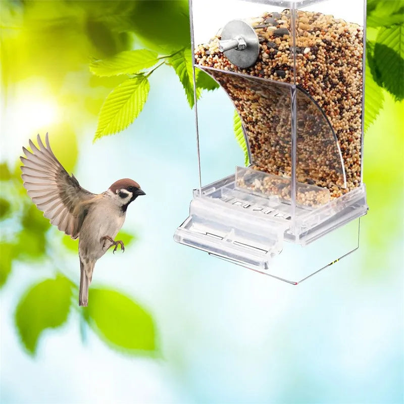 No-Spill Automatic Bird Feeder & Water Dispenser