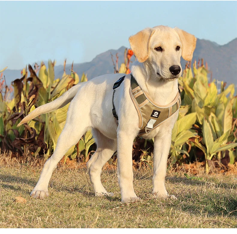 Reflective Army Dog Harness