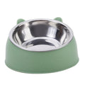 Inclined Cat & Puppy Feeding Bowl