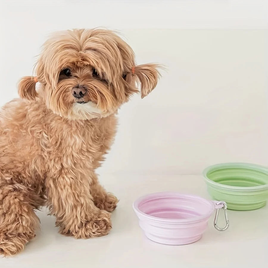 Foldable Silicone Pet Bowl — Travel & Outdoor