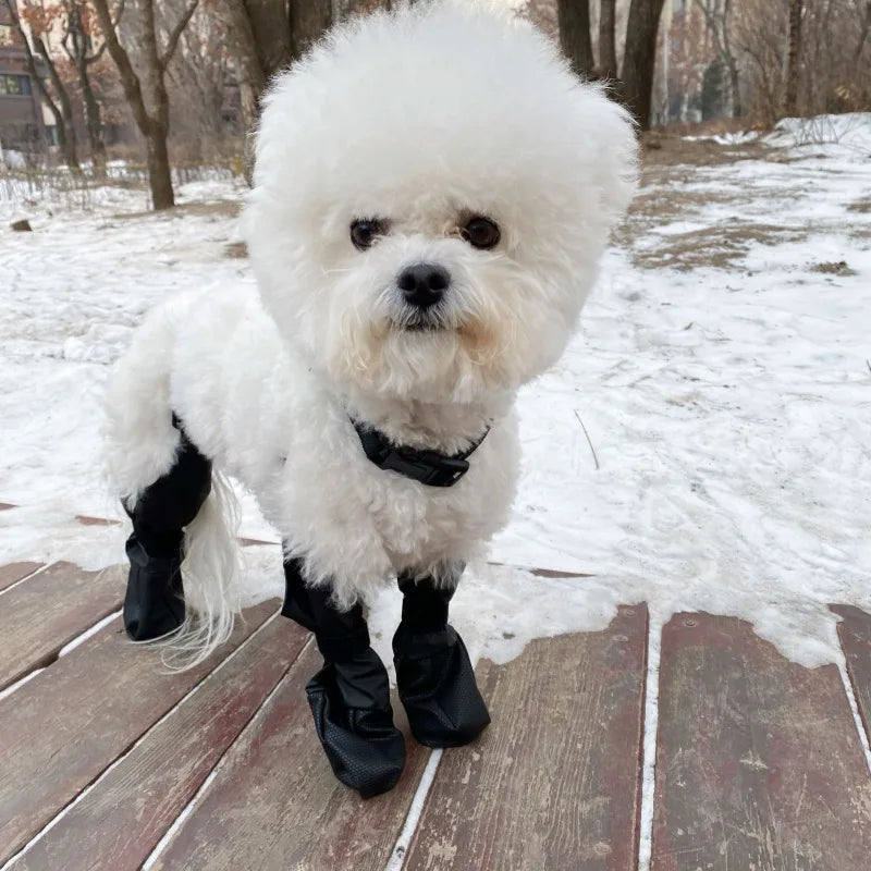 Waterproof Dog Boots — Silicone Paw Protection | Black & Yellow | Sizes M–XL