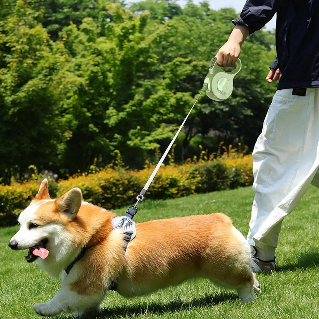 Retractable Dog Leash with LED Lights — 360° Swivel