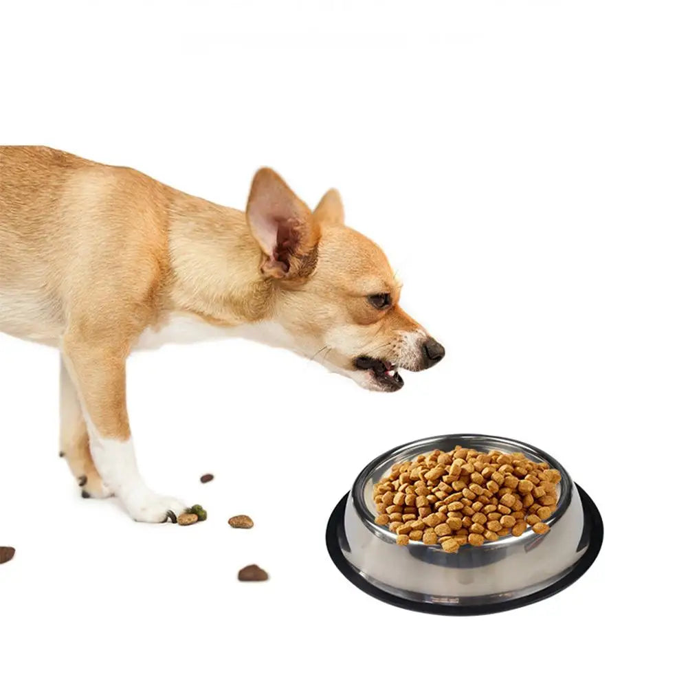 Large Capacity Stainless Steel Cat Bowl