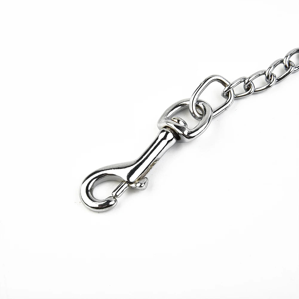 Metal Chain Dog Lead