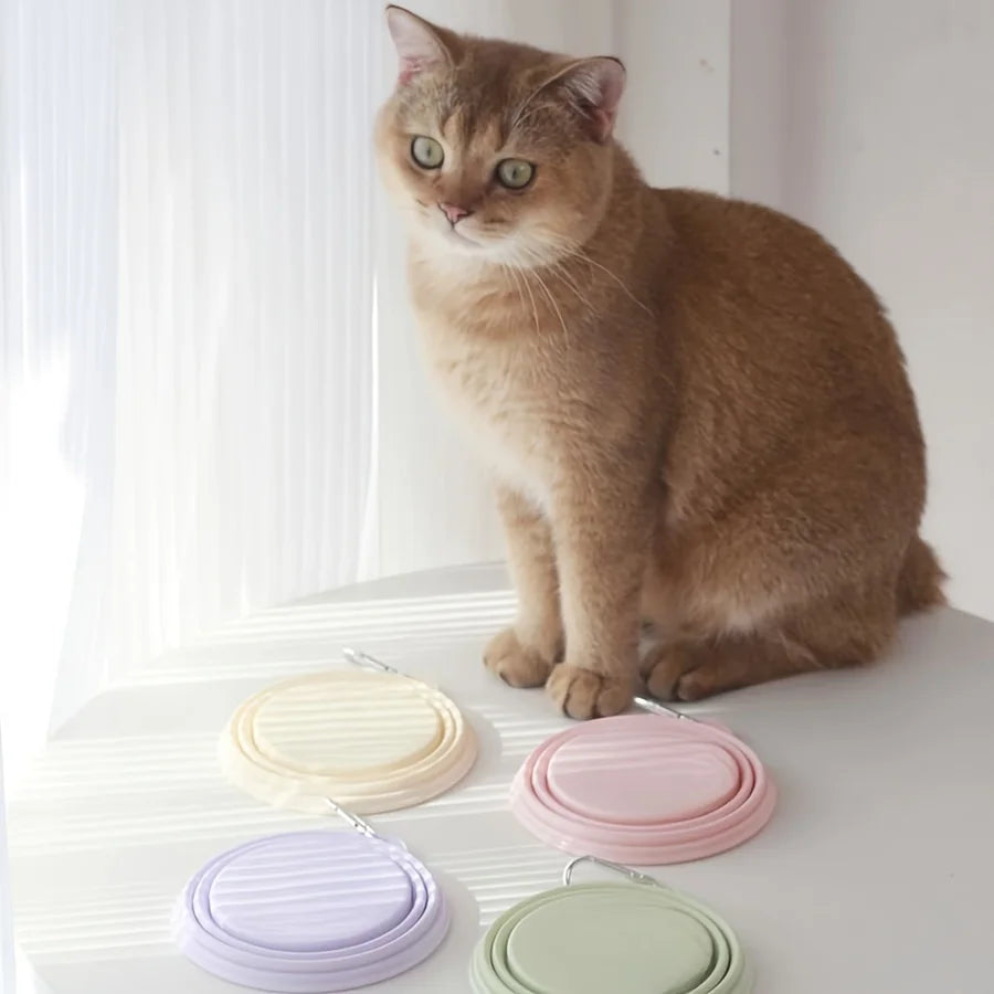 Foldable Silicone Pet Bowl — Travel & Outdoor