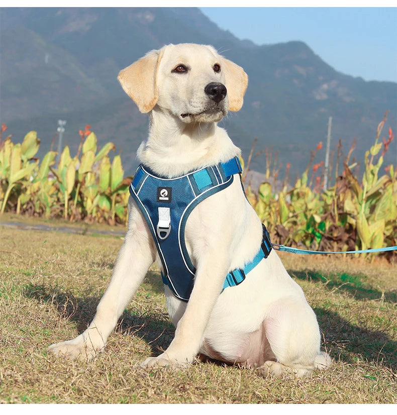 Reflective Army Dog Harness