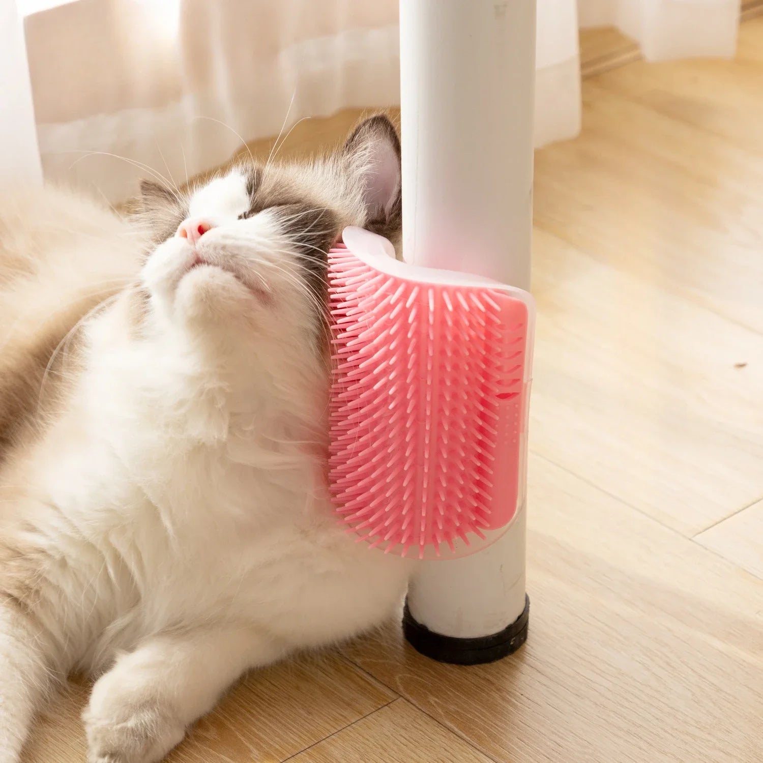 Cat Corner Wall Self-Grooming Brush – Scratch & Massage Scraper