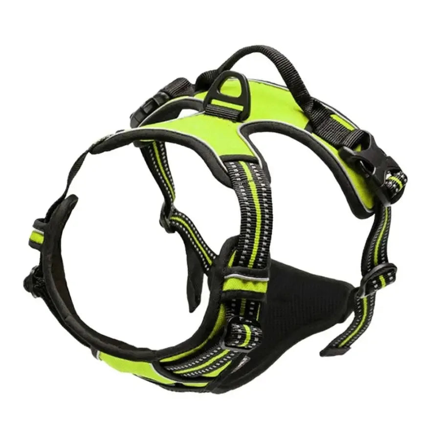 Dog Harness Collar & Leash Set