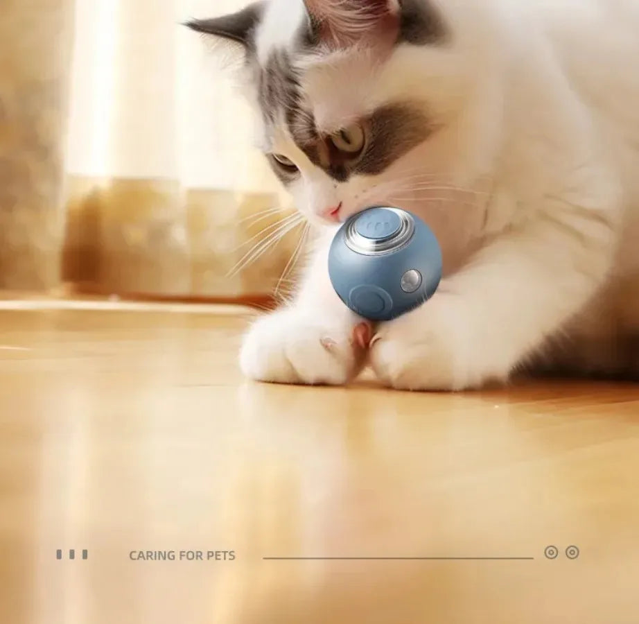 Automatic Rolling Smart Cat Ball