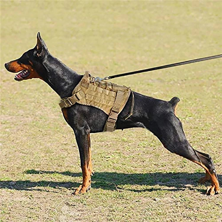 Tactical Military Dog Harness