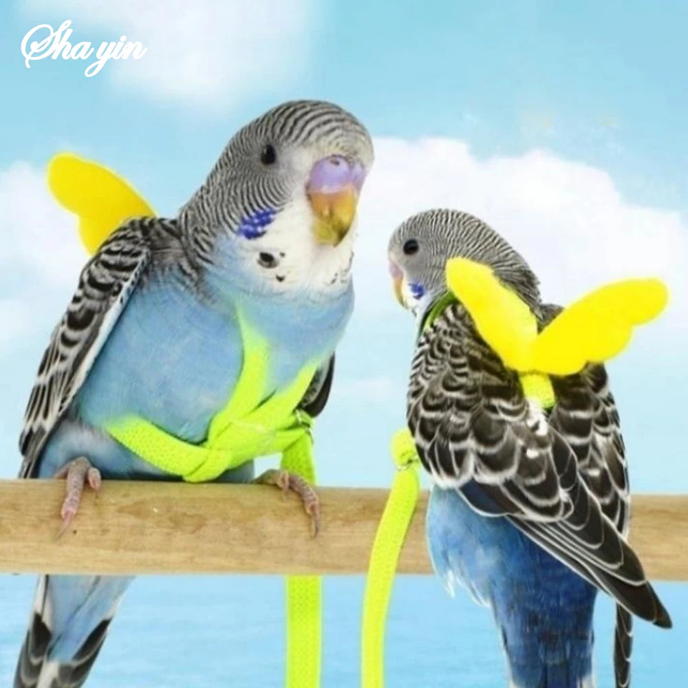Adjustable Parrot Harness & Leash Set