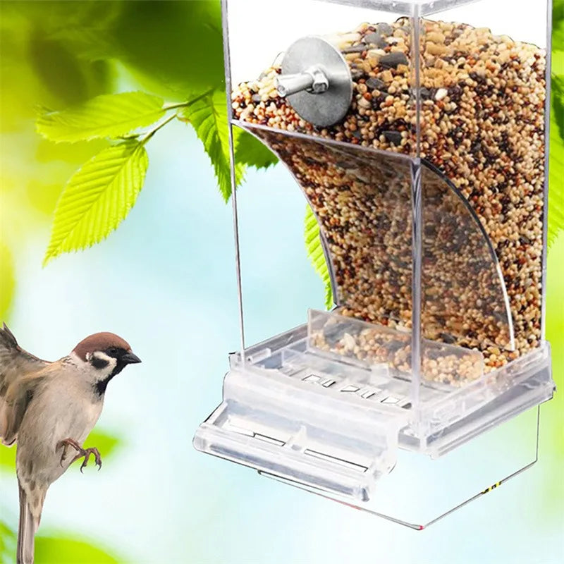 No-Spill Automatic Bird Feeder & Water Dispenser