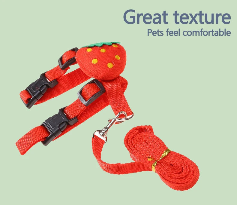 Adjustable Harness & Leash Set for Small Animals