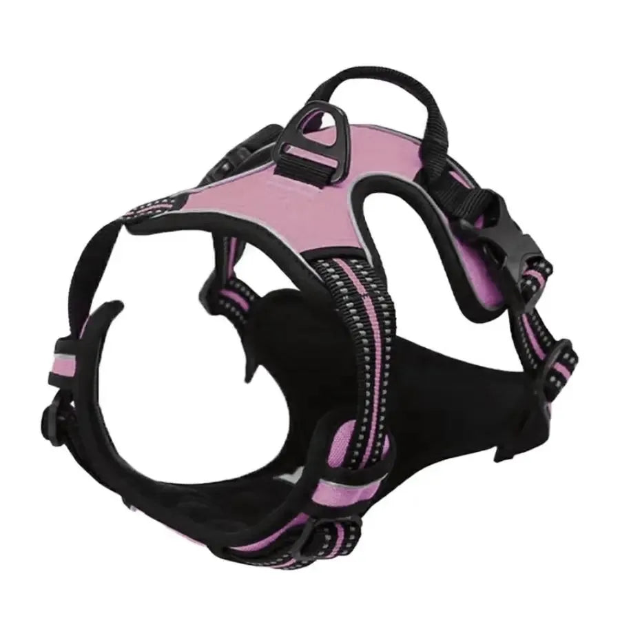 Dog Harness Collar & Leash Set