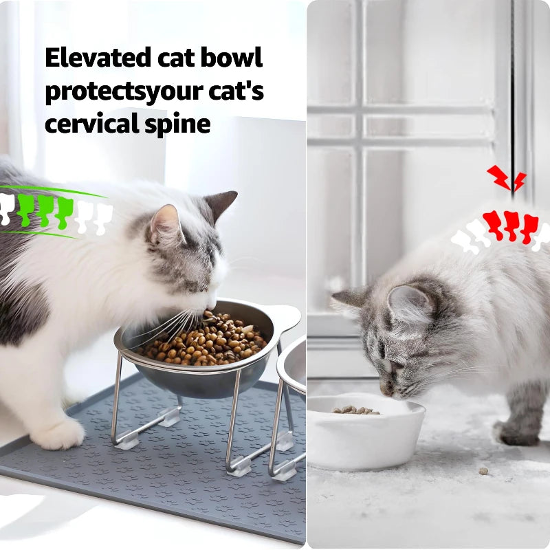 Stainless Steel Raised Cat Bowl 15° Elevated
