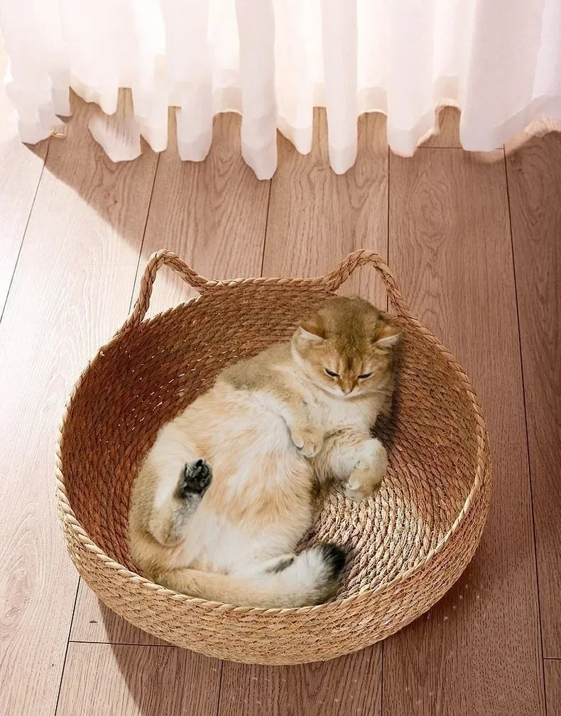 Rattan Woven Cat Nest — Handmade with Cushion