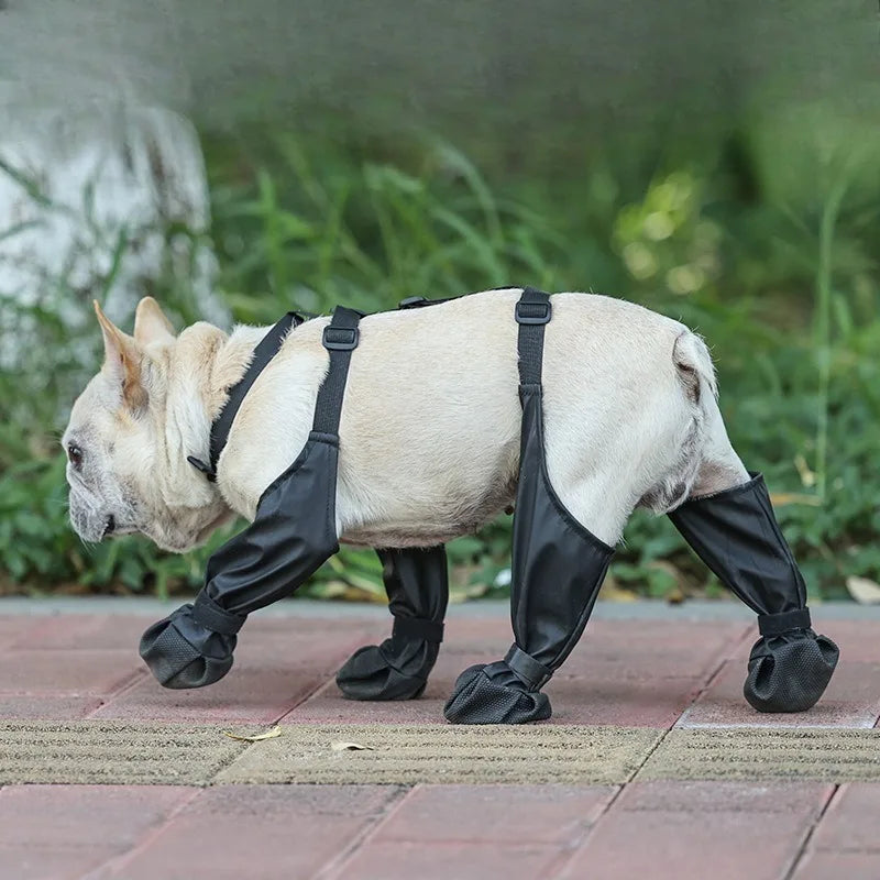Waterproof Dog Boots — Silicone Paw Protection | Black & Yellow | Sizes M–XL