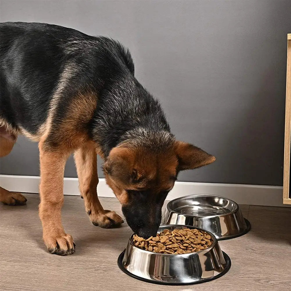 Large Capacity Stainless Steel Cat Bowl