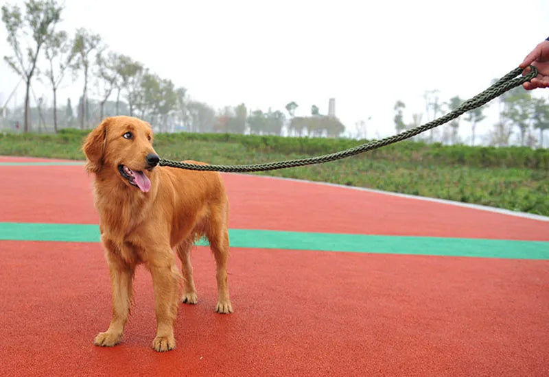 Nylon Dog Training Leash