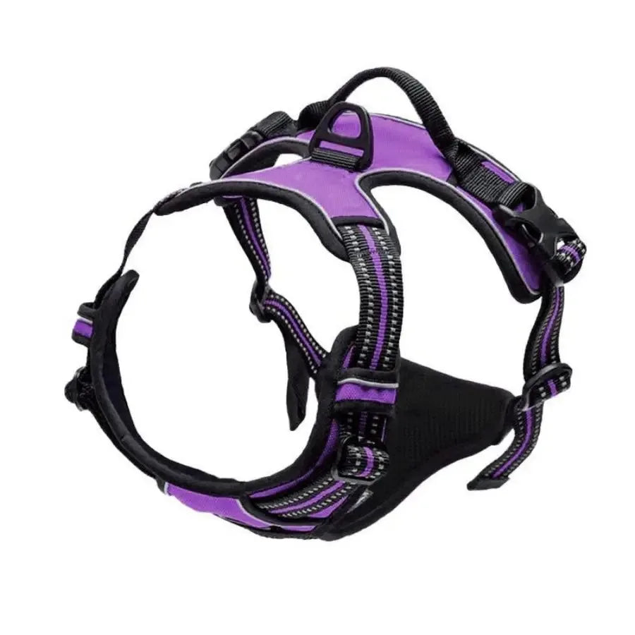 Dog Harness Collar & Leash Set