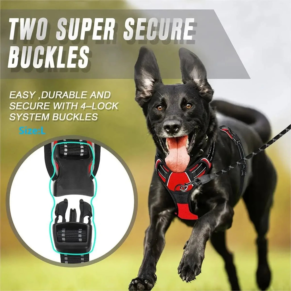 Dog Harness Collar & Leash Set