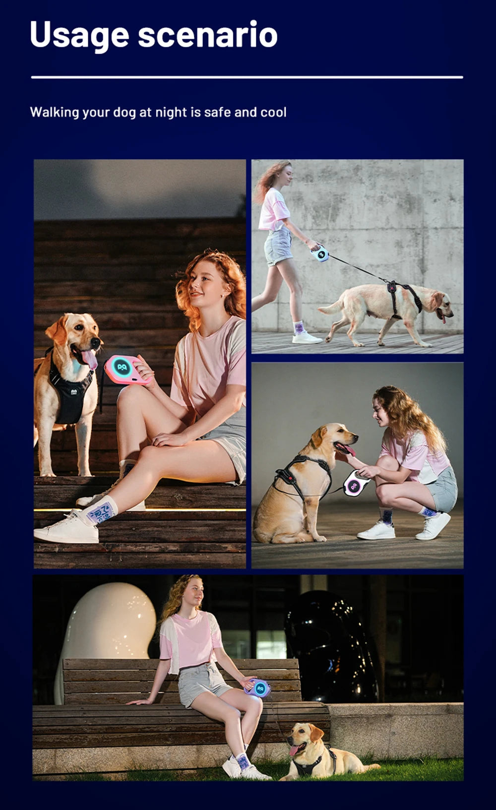 Retractable Dog Leash 5M — LED & Quick Release