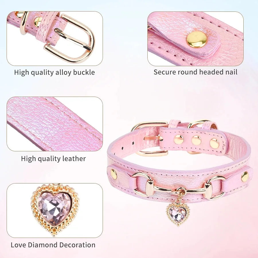 Cat Collar Necklace & Harness Set