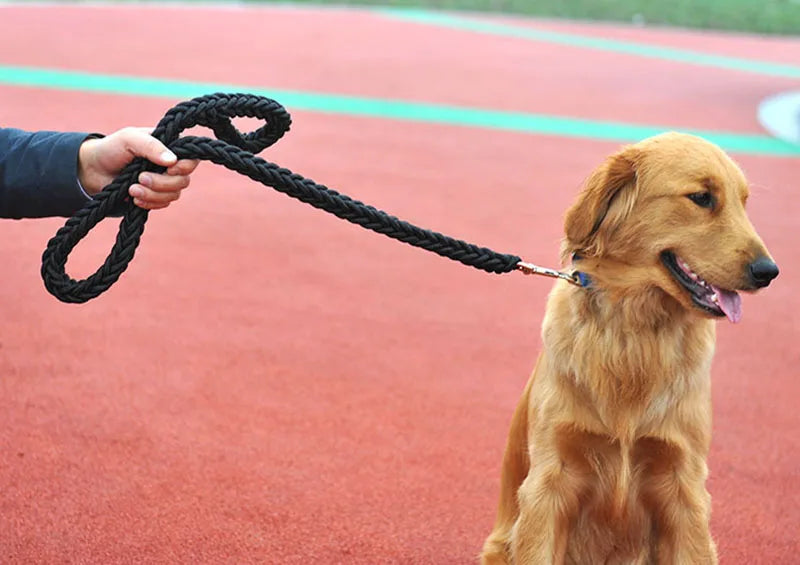 Nylon Dog Training Leash