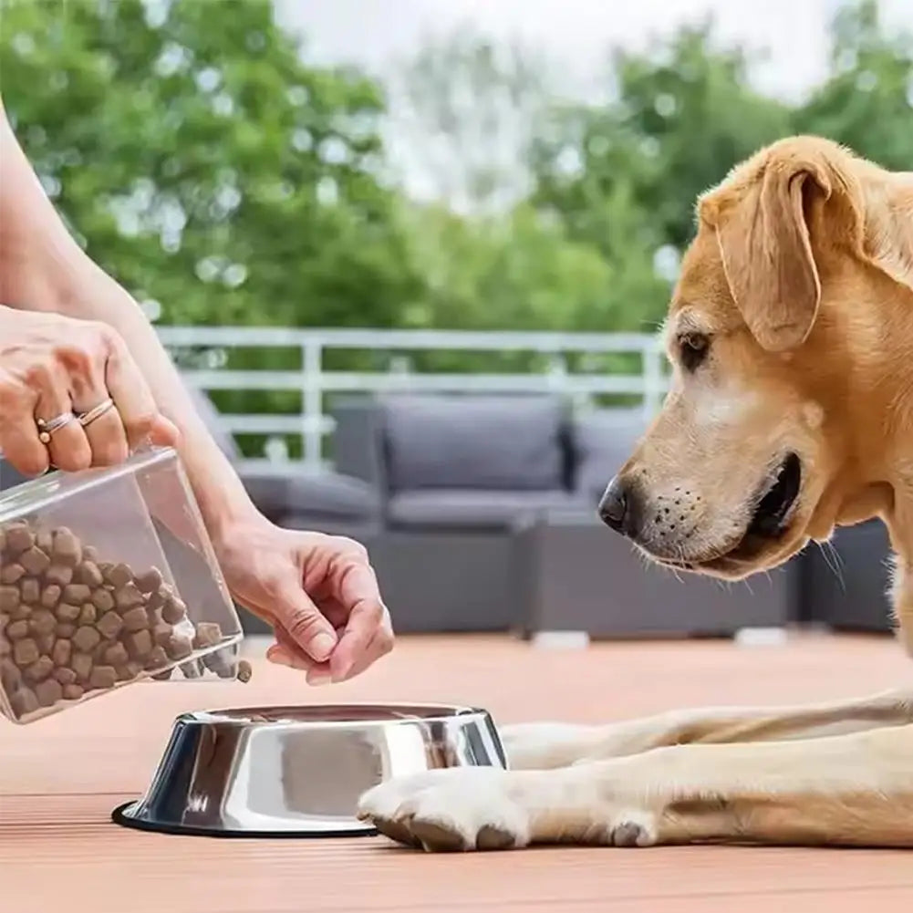 Large Capacity Stainless Steel Cat Bowl