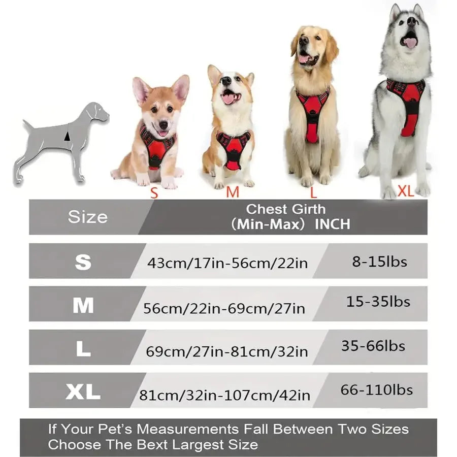 Dog Harness Collar & Leash Set