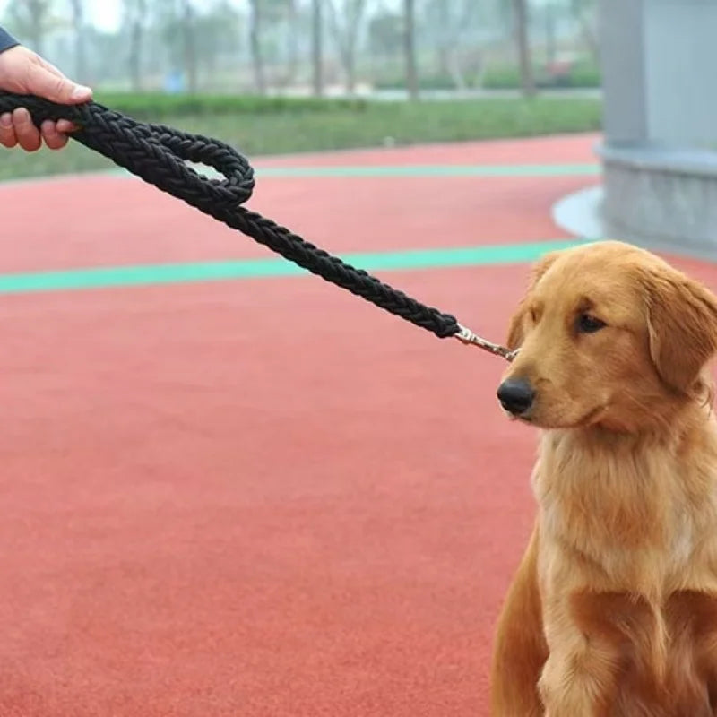 Heavy-Duty Braided Nylon Dog Leash