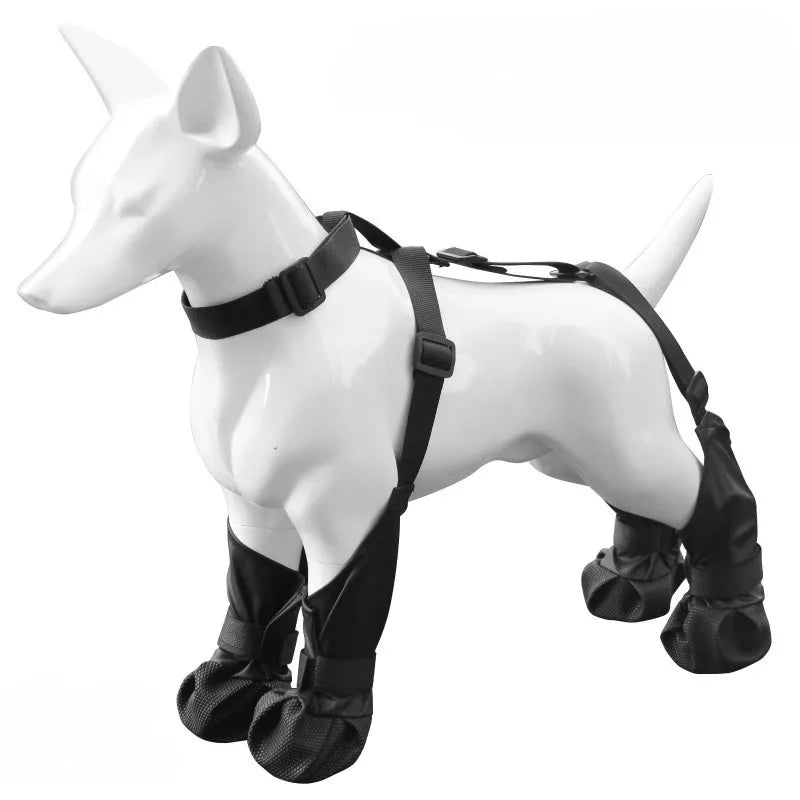Waterproof Dog Boots — Silicone Paw Protection | Black & Yellow | Sizes M–XL