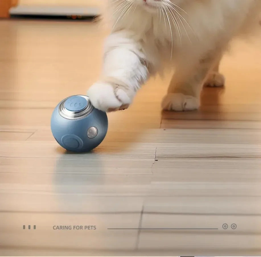 Automatic Rolling Smart Cat Ball