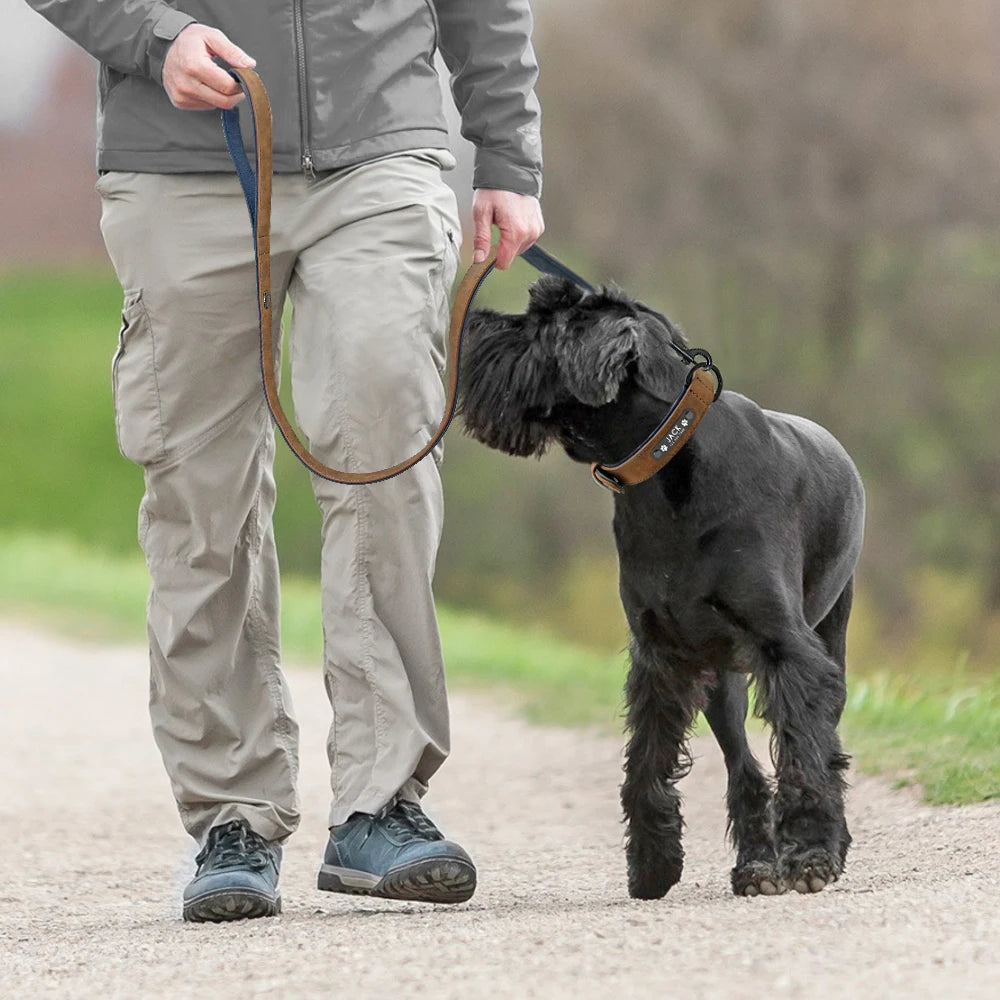 Genuine Leather Dog Collar & Leash Set
