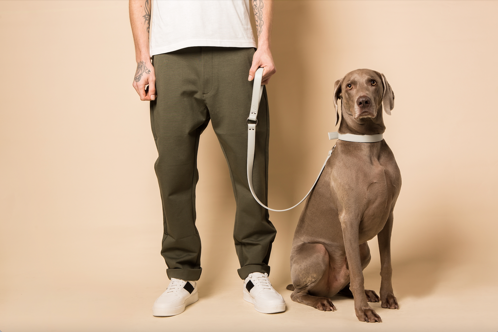 Ice blue vegan apple leather dog collar