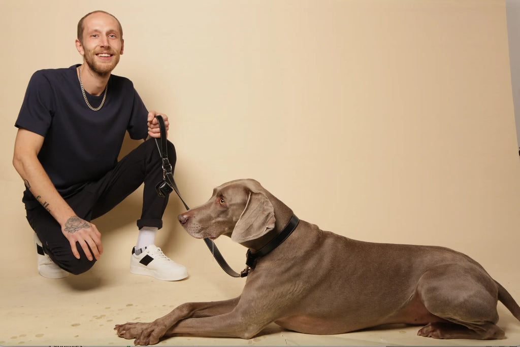 Man kneeling next to a large gray dog on a leash in a studio, pet supplies theme