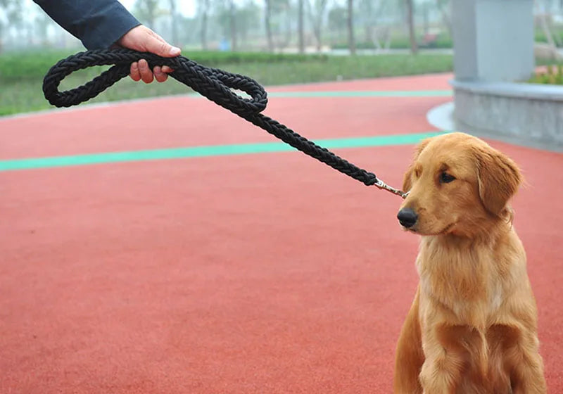 Nylon Dog Training Leash